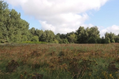 dscn0884