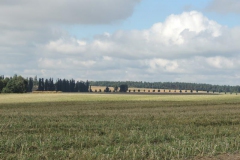dscn0886