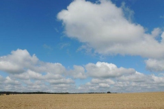 dscn0892
