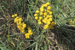 dscn0893