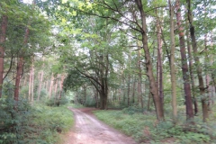 dscn0896