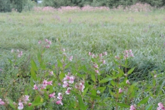 dscn0903