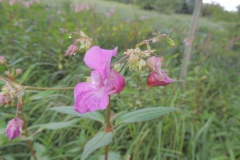 dscn0904