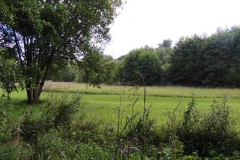 dscn0905