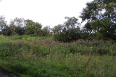 dscn0906