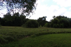 dscn0907