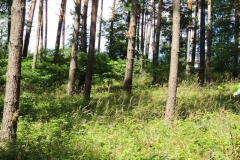 dscn0914