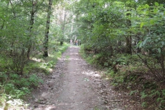 dscn0916