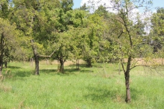 dscn0917