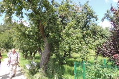 dscn0918