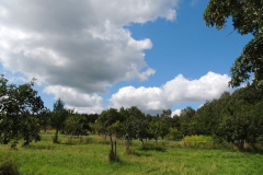 dscn0919