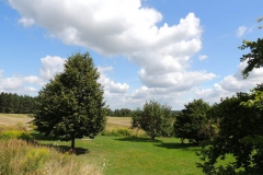 dscn0920