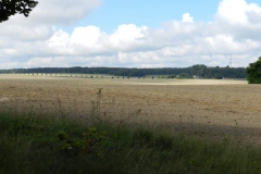 dscn2824