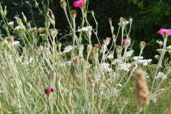 dscn2828