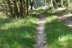 dscn2831