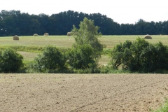 dscn2835