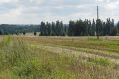 dscn2842