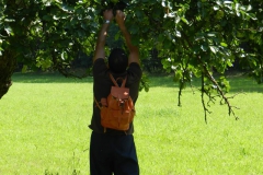 dscn2845
