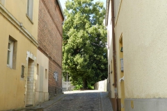 dscn2863