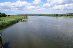 IMG_0007