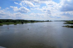 IMG_0010