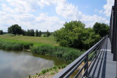 IMG_0011