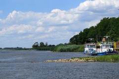 IMG_0030