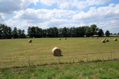 IMG_0034