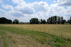 IMG_0035