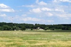IMG_0037