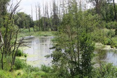 IMG_0038