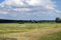 IMG_0040