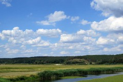 IMG_0044