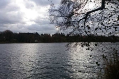 img-20151114-wa0016