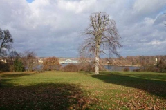 img-20151114-wa0020