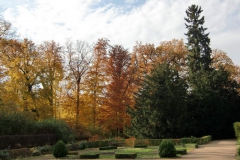 cimg2007