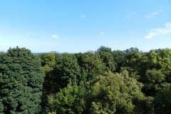 dscn3200
