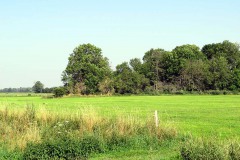 IMG_0004
