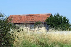 IMG_0014