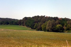 P1000160