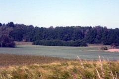 P1000161