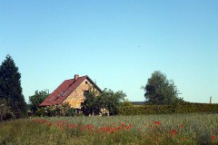P1000163