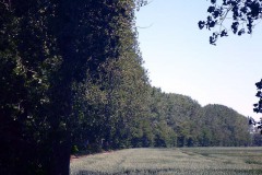 P1000173 P1000173