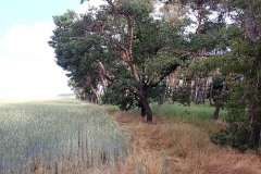 P6260018