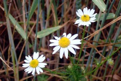 P6260026