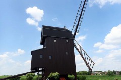 P6260031