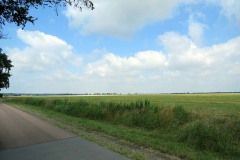 IMG_0012