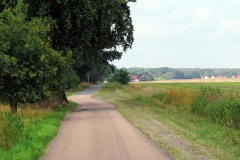 IMG_0013