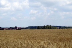 IMG_0027