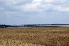 IMG_0028